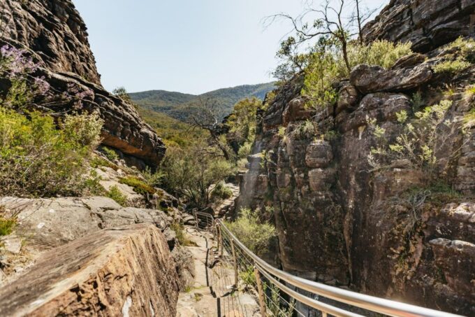 From Melbourne: Grampians National Park Group Tour - Wildlife Viewing in Halls Gap