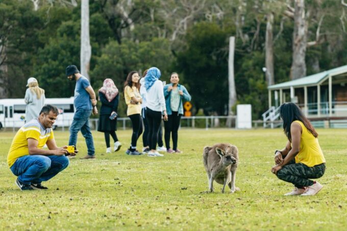 From Melbourne: Grampians National Park Group Tour - Frequently Asked Questions