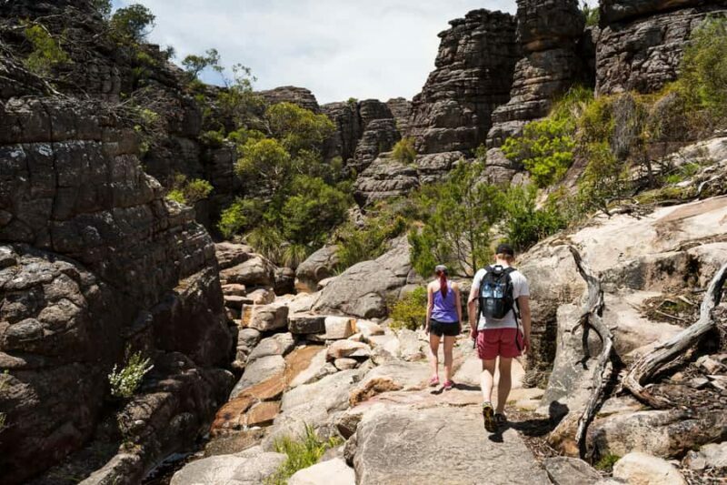 From Melbourne Grampians National Park Kangaroos Guided Tour - Key Points