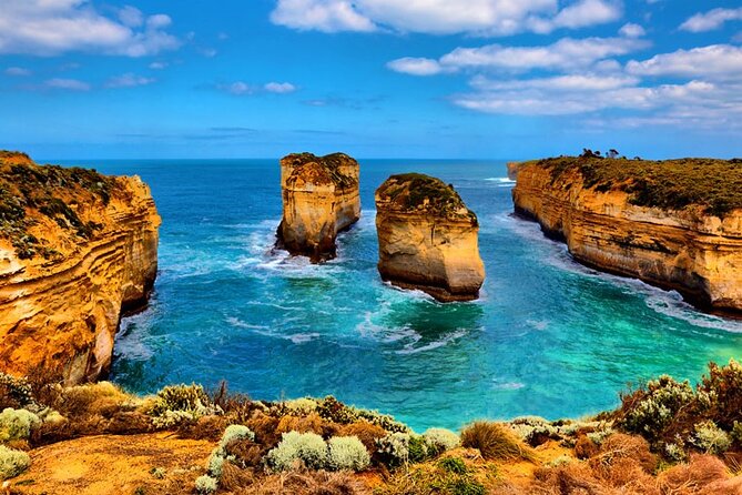 From Melbourne: Great Ocean Road 1-Day Tour in Chinese - Guest Experiences and Feedback