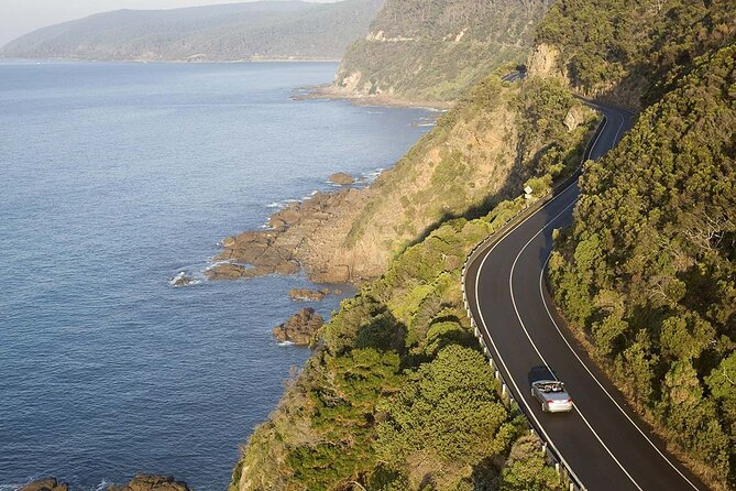 From Melbourne: Great Ocean Road 1-Day Tour in Chinese - Booking Confirmation