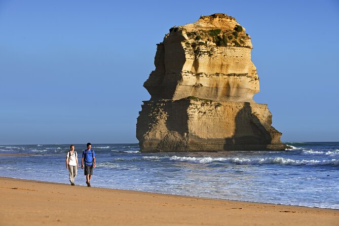 From Melbourne: Great Ocean Road 1-Day Tour in Chinese - Additional Tour Information