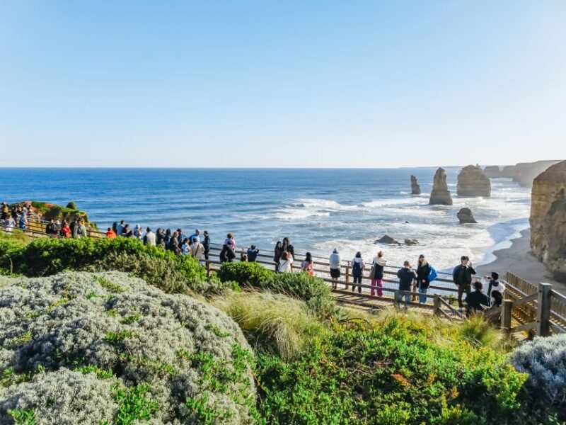 From Melbourne: Great Ocean Road, 12 Apostles, Wildlife Tour - Itinerary Highlights