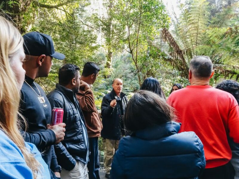 From Melbourne: Great Ocean Road, 12 Apostles, Wildlife Tour - Important Information