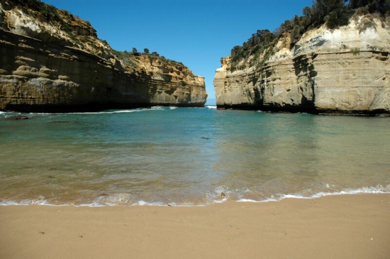 From Melbourne: Great Ocean Road, 12 Apostles, Wildlife Tour - Customer Reviews and Ratings