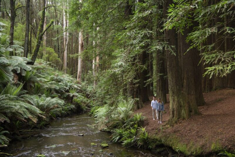 From Melbourne: Great Ocean Road and Otway Overnight Tour - Booking Information