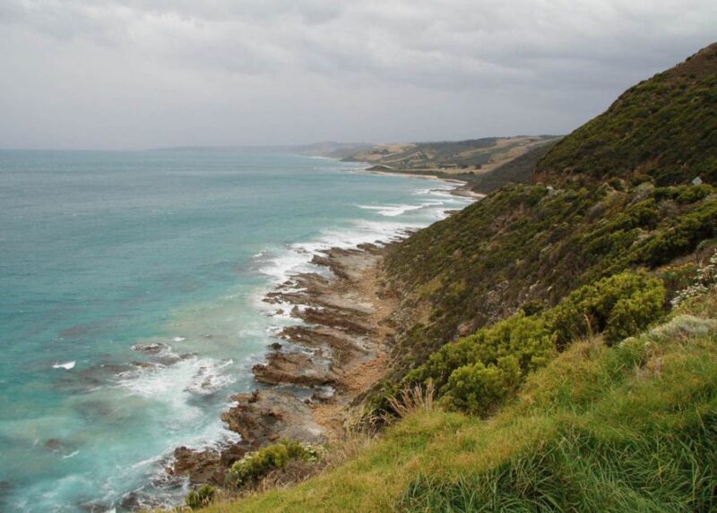 From Melbourne: Great Ocean Road Day Tour - Wildlife Spotting