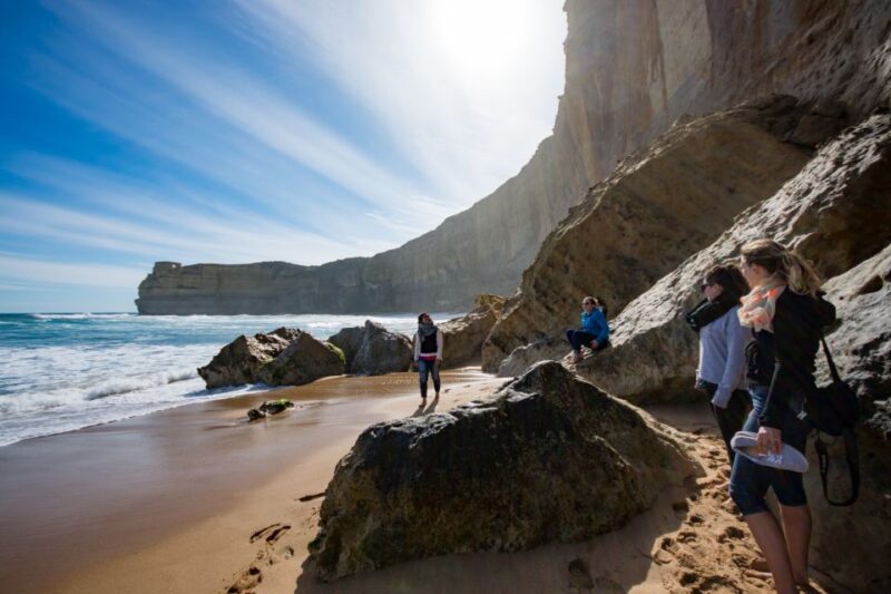 From Melbourne: Great Ocean Road Eco Tour With Lunch - Picnic Lunch Options