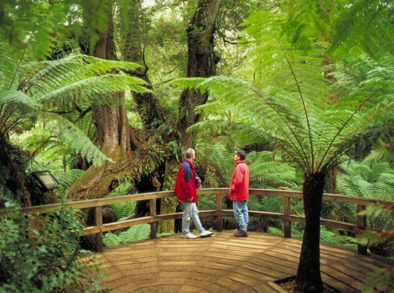 From Melbourne: Great Ocean Road Full-Day Guided Trip - Itinerary and Highlights