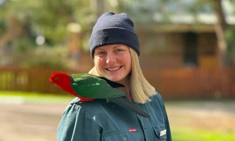 From Melbourne: Great Ocean Road Full-Day Sunset Tour - Final Thoughts: Is It Worth It?