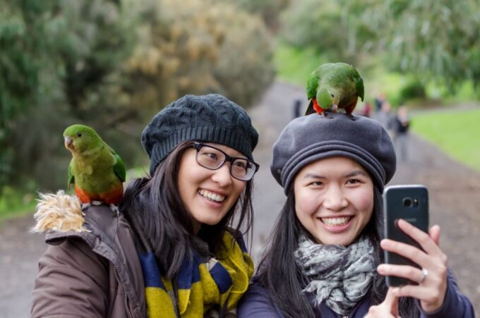 From Melbourne: Great Ocean Road & Rainforest Full-Day Trip - Transportation Information