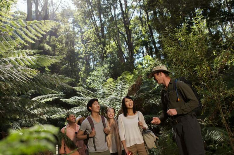From Melbourne: Great Ocean Road & Wildlife Sightseeing Tour - Exploring the Great Ocean Road: A Journey Through Scenic Marvels