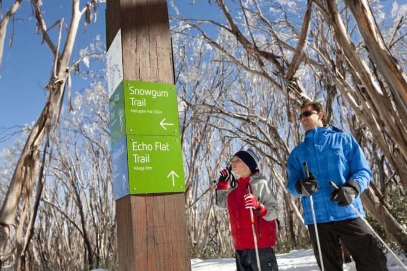 From Melbourne: Lake Mountain Snow Experience - Cross-Country Skiing Lessons