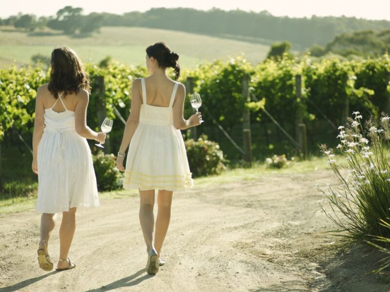 From Melbourne: Mornington Peninsula Food & Wine Taste Trail - Included Amenities and Pickup Options