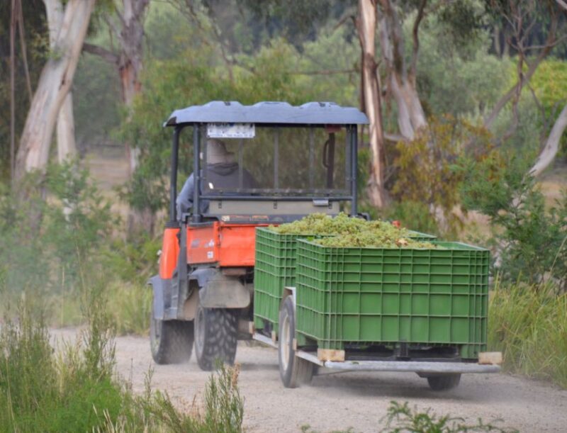 From Melbourne: Mornington Peninsula Private Winery Tour - Wine Tastings and Learning