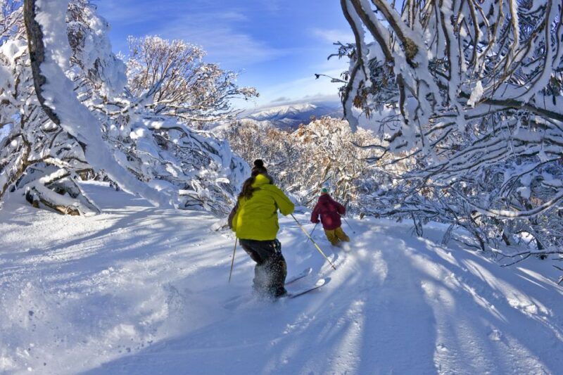 From Melbourne: Mount Buller Village and Resort Day Trip - Transportation and Accessibility