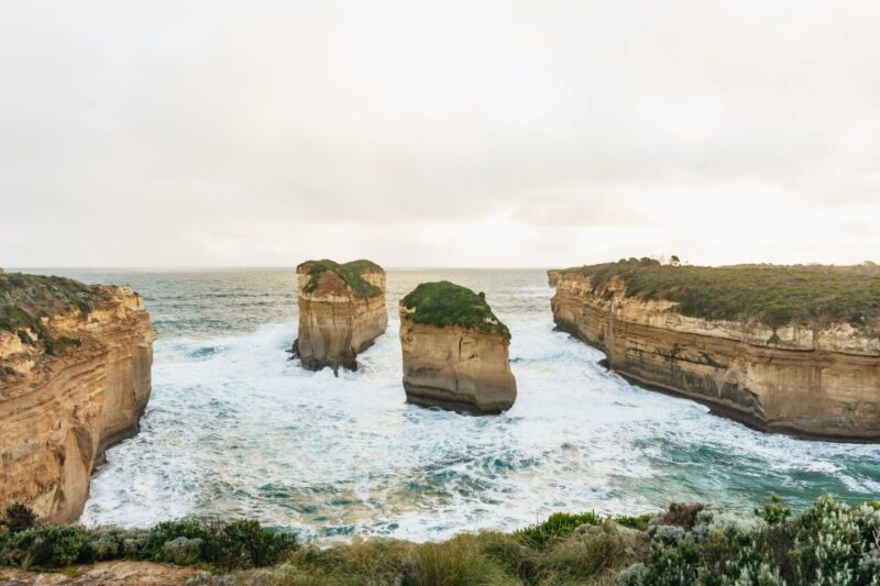 From Melbourne: Penguin Parade, Koalas & Kangaroos - Itinerary Highlights