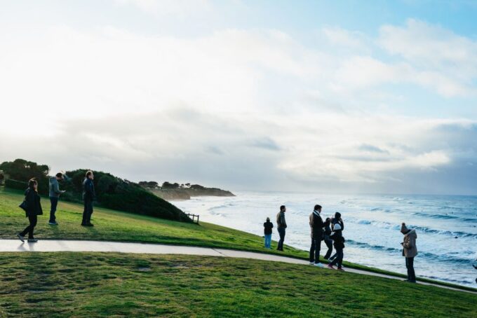 From Melbourne: Penguin Parade, Koalas & Kangaroos - Recap