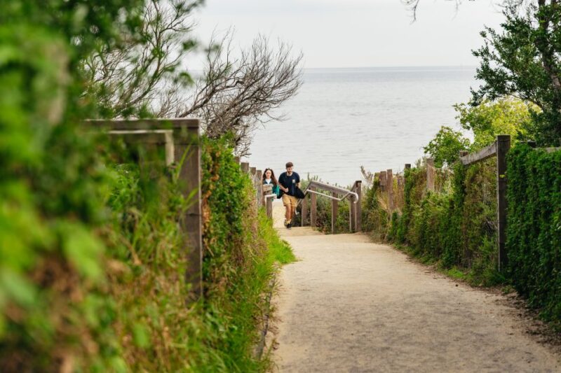 From Melbourne: Phillip Island Eco Wildlife Tour - Key Points