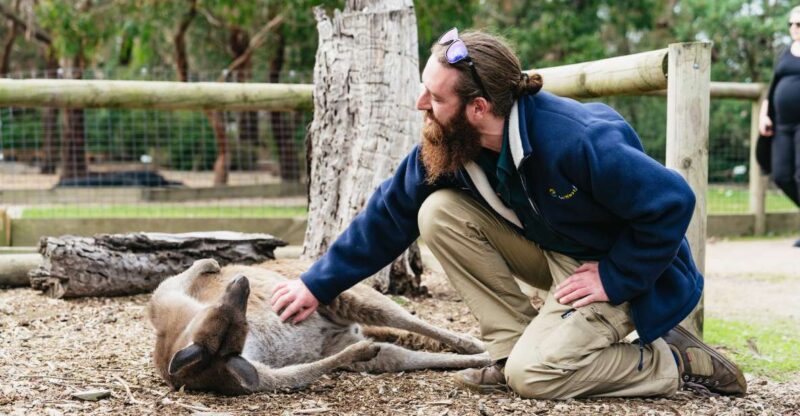 From Melbourne: Phillip Island Eco Wildlife Tour - Itinerary Highlights