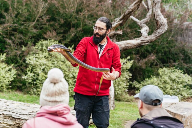 From Melbourne: Phillip Island Eco Wildlife Tour - Included Experiences