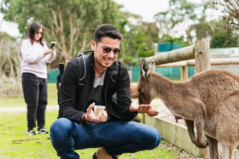 From Melbourne: Phillip Island Eco Wildlife Tour - Pickup and Drop-off