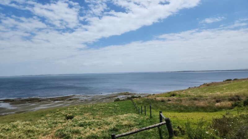 From Melbourne: Phillip Island Penguin Parade Private Tour - Key Points