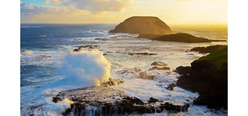 From Melbourne: Phillip Island Penguin Parade Tour (Chinese) - Tour Itinerary