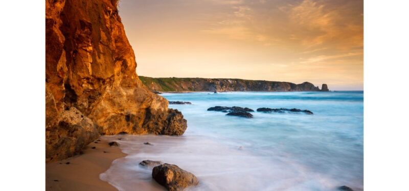 From Melbourne: Phillip Island Penguin Parade Tour (Chinese) - Customer Feedback