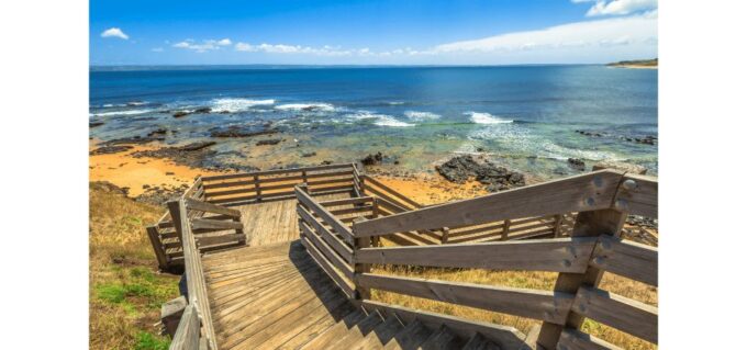 From Melbourne: Phillip Island Penguin Parade Tour (Chinese) - Traveler Suitability