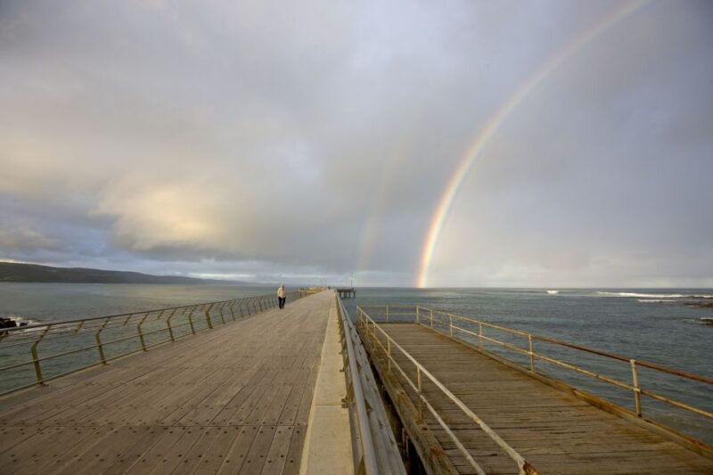 From Melbourne: Private Phillip Island Tour 11-Hour LGBTQ+ - Key Points