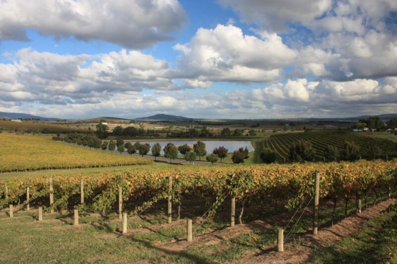 From Melbourne: Private Phillip Island Tour 11-Hour LGBTQ+ - National Park Access