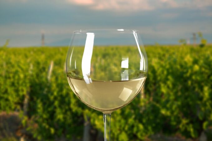From Melbourne: Private Yarra Valley Winery Tour With Lunch - Frequently Asked Questions