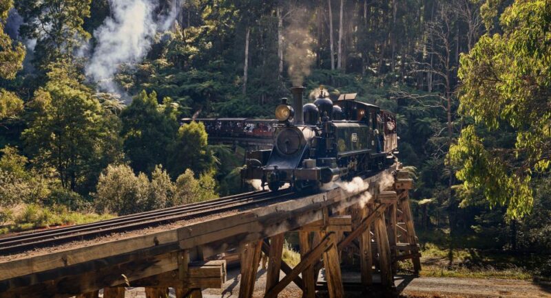 From Melbourne: Puffing Billy & Moonlit Sanctuary Tour - Key Points