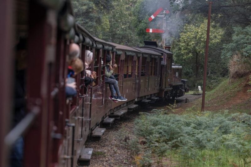 From Melbourne: Puffing Billy & Moonlit Sanctuary Tour - Age Restrictions and Fire Bans