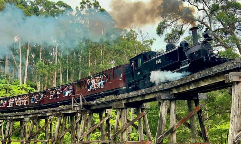 From Melbourne: Puffing Billy & Penguins Combo Tour Package - Practical Considerations and Comfort