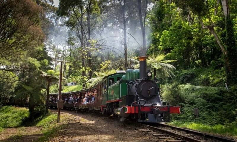 From Melbourne: Puffing Billy & Penguins Combo Tour Package - Final Thoughts