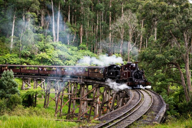 From Melbourne: Puffing Billy Steam Train & Wildlife Tour - Key Points