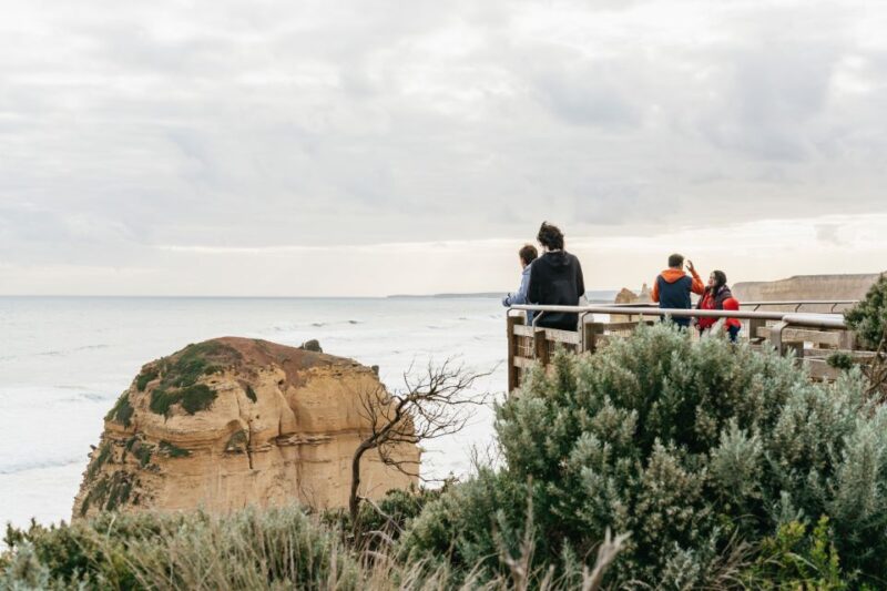From Melbourne: Small-Group Great Ocean Road Day Trip - Discovering Australian Wildlife