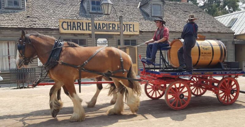 From Melbourne: Sovereign Hill & Ballarat Gold Mine Tour - Key Points