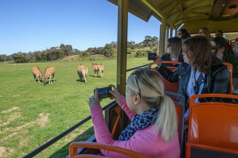 From Melbourne: Werribee Open Range Zoo & Werribee Mansion - An Overview of the Tour Experience
