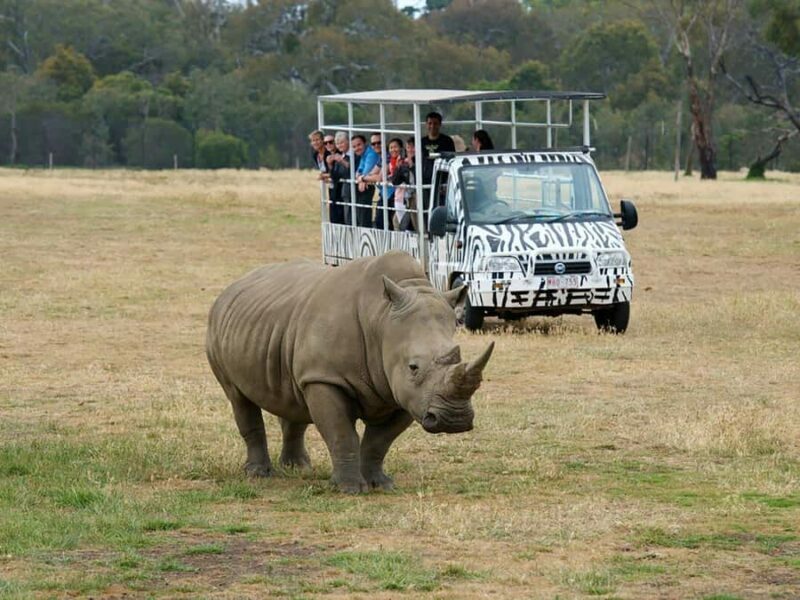 From Melbourne: Werribee Open Range Zoo & Werribee Mansion - Why This Tour Works for You