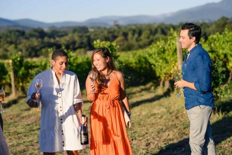 From Melbourne: Yarra Valley Chandon Cheese & Kangaroos Tour - What to Expect from the Yarra Valley Tour