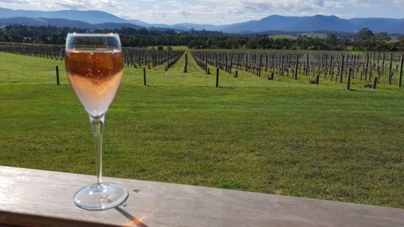 From Melbourne: Yarra Valley Wine, Gin, Chocolate Day Trip - Tasting Venues