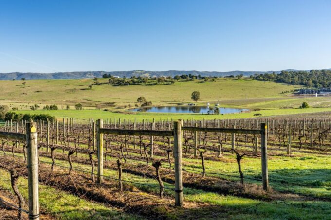 From Melbourne: Yarra Valley Wine, Gin, Chocolate Day Trip - Tour Experience Features