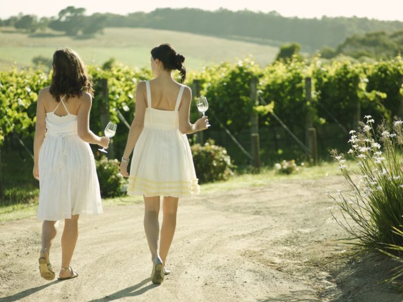 From Melbourne: Yarra Valley Wine Grazing Tour - Scenic Views and Premium Tastings