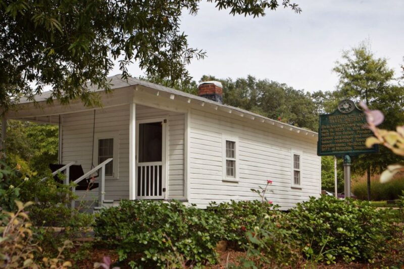 From Memphis: Tupelo Elvis Presleys Upbringing Tour - Customer Reviews and Ratings