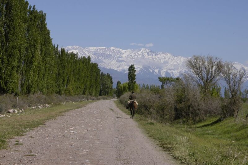 From Mendoza: A Trip Across the Mountain to Atuel Canyon - Important Information