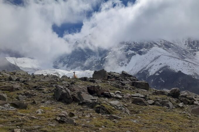 From Mendoza: Full-Day Hike to Cordón Del Plata Andes - Customer Feedback and Ratings