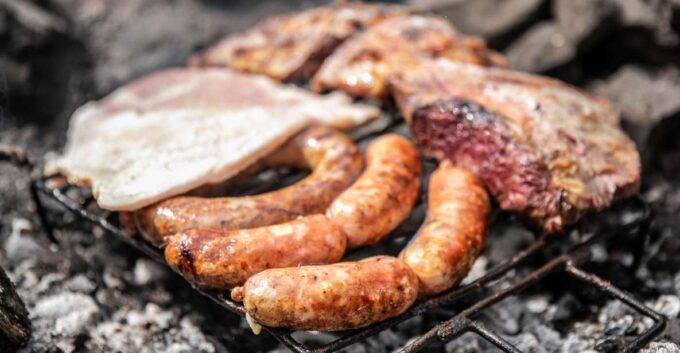 From Mendoza: Trekking and Barbecue in the Andes - Panoramic Views of the Andes